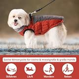 Savlot Hundemäntel für Kaltes Wetter Gemütliche Winddichte Winter-Hundejacke Dick Gepolsterte Warme Weste mit Geschirr für Welpen Kleine Mittelgroße und Große Hunde (L, Rot)