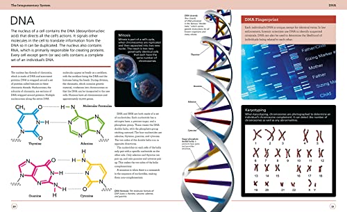 Illustrated Human Anatomy: The Authoritative Visual Guide To The Human Body #TOP2