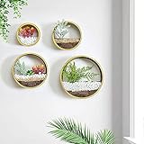 Detalles de decoración de pared: con su moderno diseño de estilo industrial, esta llamativa maceta de pared redonda geométrica de metal es la manera ingeniosa de mostrar tus creaciones con la máxima elegancia. El atractivo esquema añade a sus detalles y es una pieza de acento perfecta para tu jardín interior.