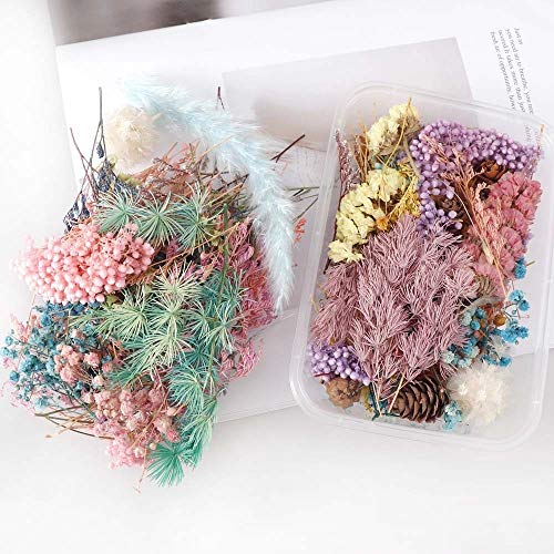 Flores Secas en Caja para Artesanía y Decoración miniatura 1