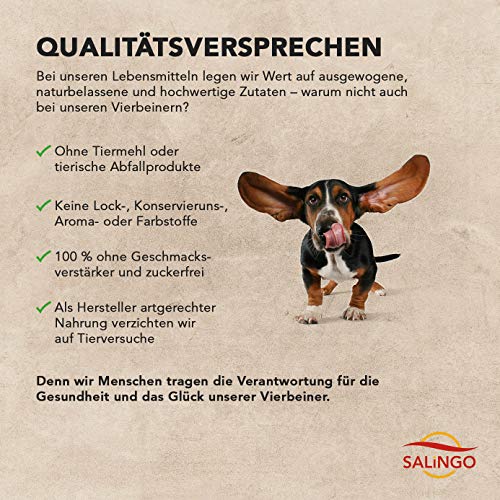 SALiNGO High Sensitive Hundefutter trocken, Trockenfutter Lamm und Reis, zuckerfrei, Single Protein, für Sensible Hunde mit hohem Fleischanteil, 15kg