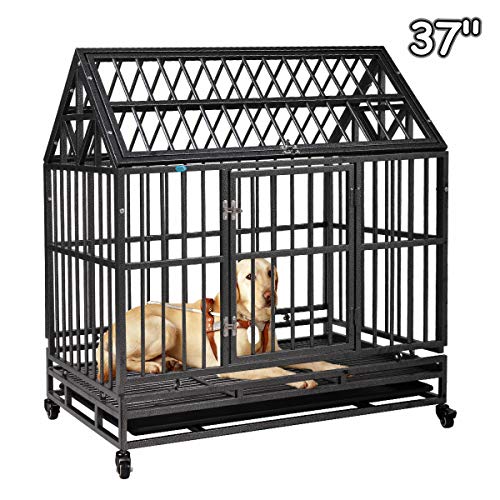 hard sided dog kennel