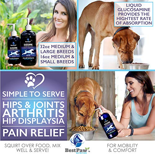dog hip pain home remedy