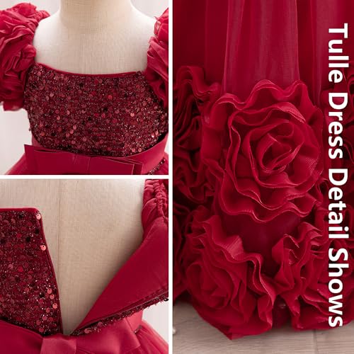 Little Girl Dress with 3D Floral Embroidery Flower Girl Dresses for Easter, Wedding, Birthday Or Graduation4