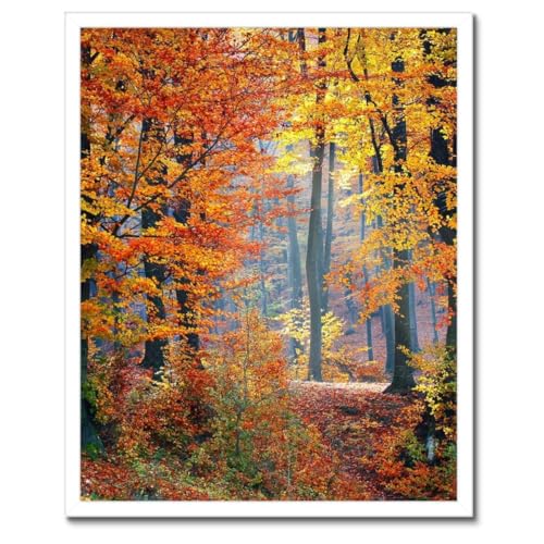 Poster automne doré cadre noir 40 x 50 cm tableau décoration murale salon chambre