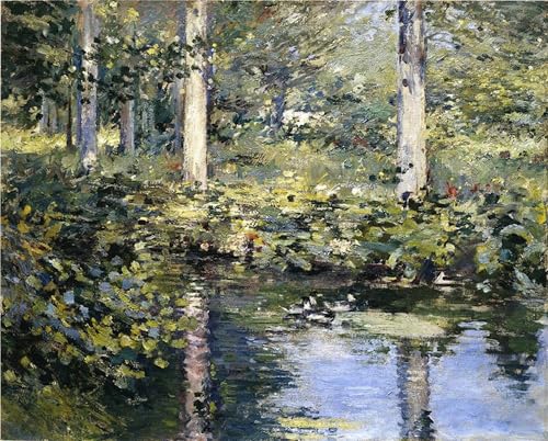 Cuadro lo stagno delle anatre de Theodore Robinson, pintura en lienzo decorativa de 60x90cm