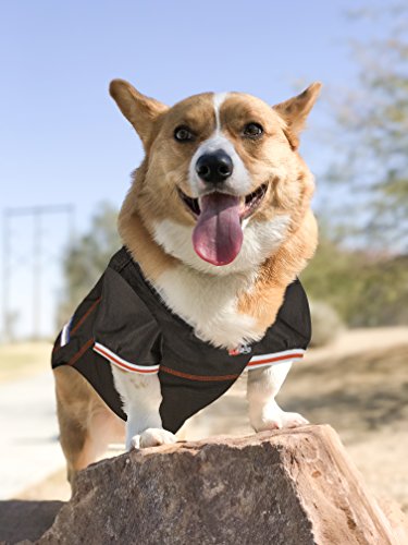NFL CLEVELAND BROWNS DOG Jersey, X-Large - Thumbnail 2