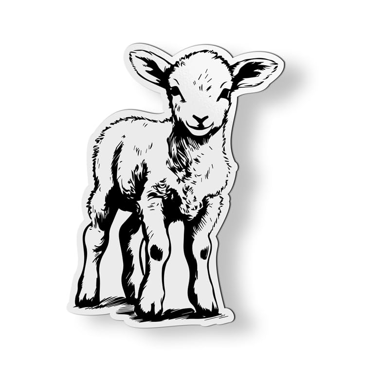 Cute Lamb Sheep - Magnet - Car Fridge Locker - Select Size