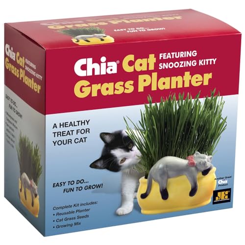 Chia Pet Kitty Cat Grass Decorative Pottery Planter Easy to Do and Fun to Grow Novelty Gift Perfect for Any Occasion
