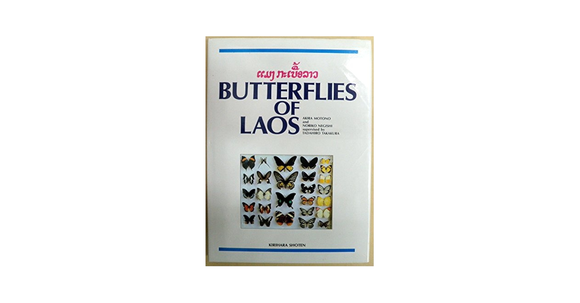 Amazon.co.jp: ラオスの蝶 BUTTERFLIES OF LAOS : 本野 晃, 根岸