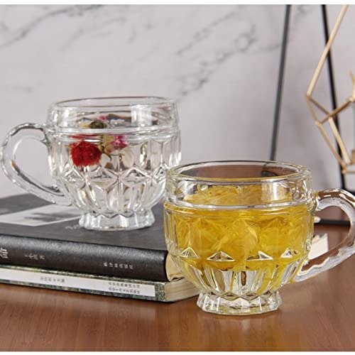 Image of MULTI ZONE 250 ML Crystal Clear Toughened Glass Tea Cup with Convenient Solid Handle Cups, Espresso Mug Set for Tea, Coffee, Hot /Cold Drinks (MZ-04)
