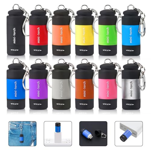 Mini lampe de poche LED rechargeable USB contre les pannes de courant - Lot de 12 lampes étanches