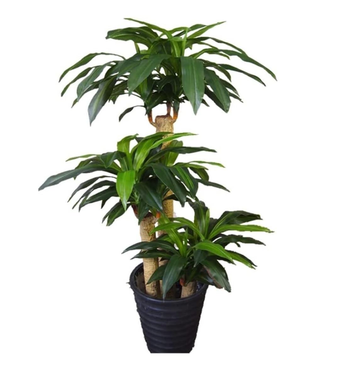 SWENEEN Indoor Simulation Tree Height Imitation Bonsai Floor Living Room Office Artificial Tree Decoration Artificial Tree Fake Plants Artificial Tree,