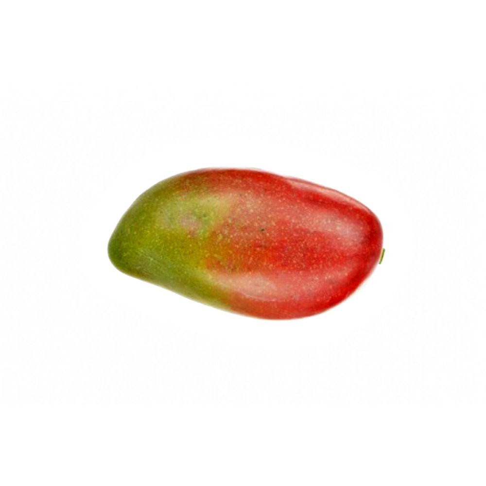 Floristrywarehouse Red Mango Fruit Artificial 12Cm