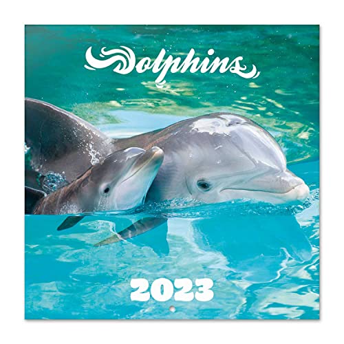 Grupo Erik, Calendario 2023, Calendario 2023 pared con certificado FSC, Delfines, Calendario mensual, 30x30 cm, CP23004