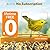 Bilantan Metal Smart Bird Feeder with Camera Solar Powered, 5G/2.4G WiFi Compatible, Lifetime Free AI Birds Identification, 2.5K Video Bird Feeder, Valentine's Day Gifts for Bird Lovers