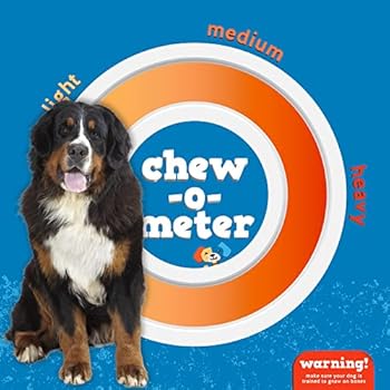 Can Marrow Bones Hurt Dogs