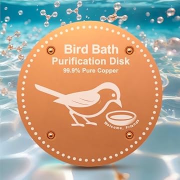 best solar heated bird bath