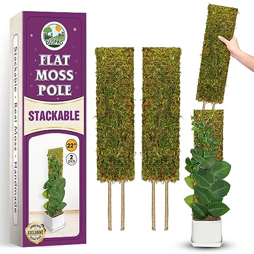 DUSPRO Flat Mesh Moss Poles for Climbing Plants Monstera Stackable Moss Pole for Plants with Real Moss Moss Plant Pole for Potted Plants Handmade Moss Stick for Indoor Plants Grow Upward 2 Pack 22”