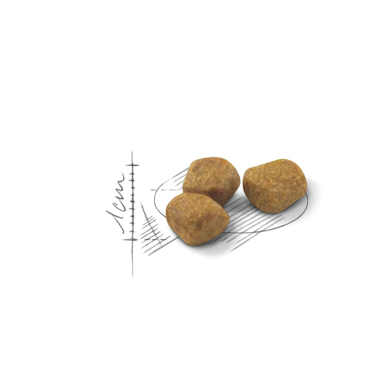 Royal Canin C-584995 Indoor +7-3,5 kg