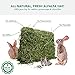 Viking Farmer Alfalfa Hay for Rabbits & Small Pets, 5 lbs
