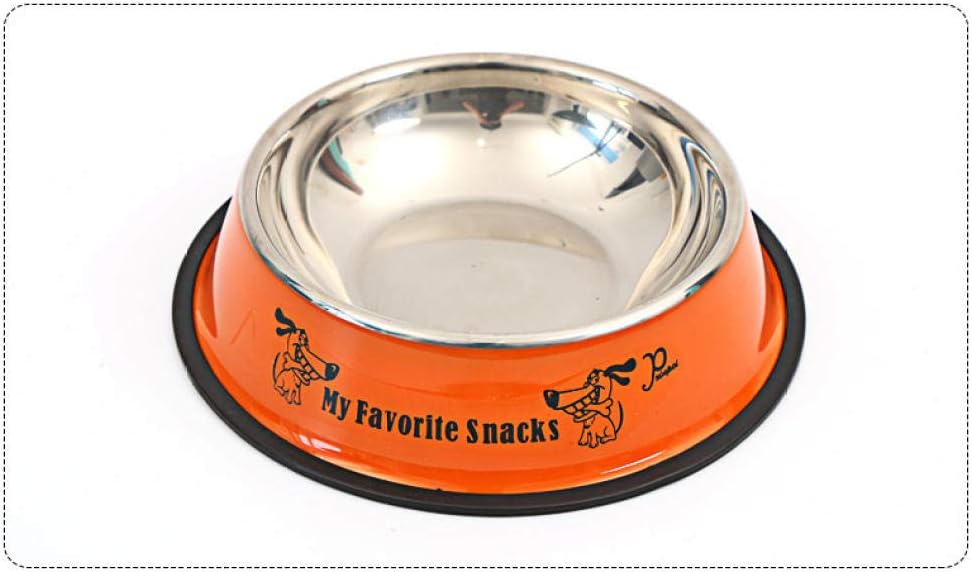 distributore d'acqua per canile