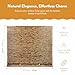 Radiance Cord Free Bamboo Shades - Roll-Up Shades for Porch, Patio & Interior Windows - Bamboo Shades for Indoor & Outdoor - Cocoa - 60