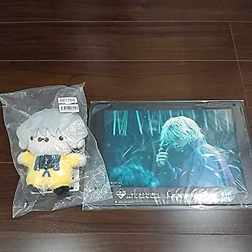 Amazon.co.jp: るろうに剣心 一番くじ C賞 雪代縁ビジュアルボード E賞 