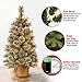 National Tree Company 3 ft Pre-Lit Glittery Bristle Mini Artificial Christmas Tree, Pinecones, 35 Clear LED Lights, 144 Tips, Timer, Burlap Base, Green