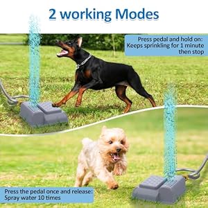 Outdoor Dog Water Fountain Step On Dog Water Sprinkler Paw Activated Dog Drinking Waterer Outdoor Dog Water Fountain Step On Dog Water Sprinkler Paw Activated Dog Drinking Waterer