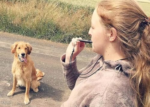 NAKOSITE LED Leuchthalsband Hund + Hundepfeife + Clicker Hund – Verstellbare Größe, 3 Lichtmodi, Hohe Sichtbarkeit bis 500m, Nachtsicherheit für kleine bis große Hunde (Grün)