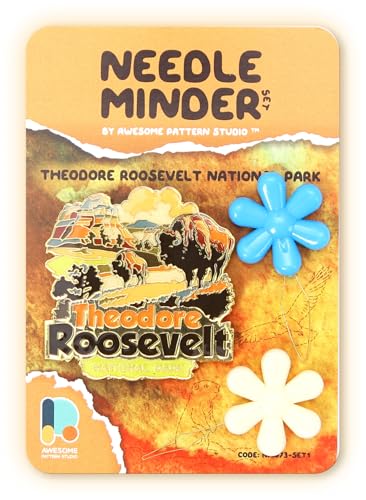 Aiguilles magnétiques Theodore Roosevelt pour ne plus perdre vos outils