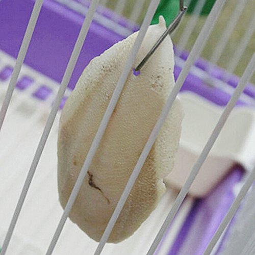 Hinmay, confezione da 1 pezzo di osso di seppia