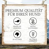 DOG'S LOVE Classic Lamm, 6er-Pack (6 x 200g)