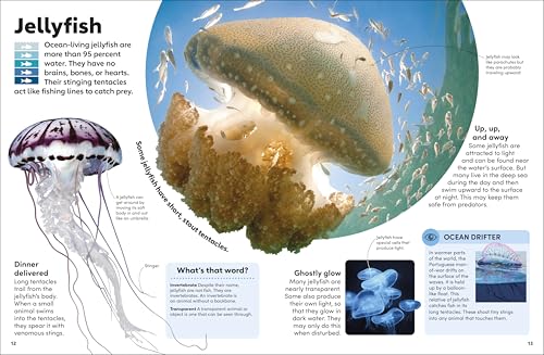 Eyewonder Oceans: Open Your Eyes to a World of Discovery - Image 3