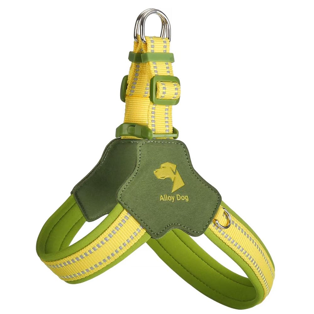 Y-shaped anti-pull dog harness designed specifically for Dachshund. It features an adjustable, softly padded chest vest with reflective strips, breathable design green XL