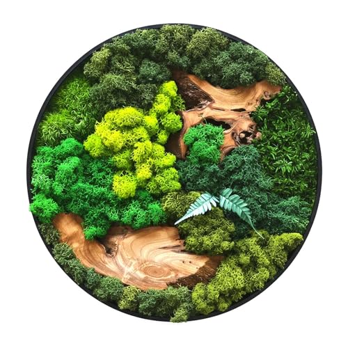 vadmepiop Natural Preserved Moss Wall Art with Real Wood Frame Handcrafted Maintenance-Free Moss Wall Panel for Home Decor Office Restaurant Bar & Cafe (Round 11.81)
