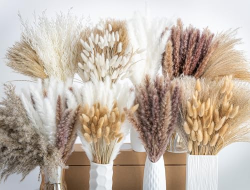 650PCS Natural Dried Pampas Grass Boho Home Decor Bouquet Phragmites