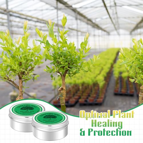 Cera para Injertos RattanView 2 Pzas 7 oz resistente al clima miniatura 6