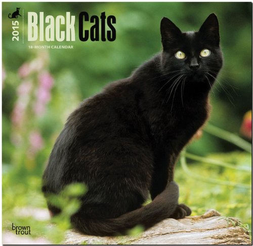 Black Cats 18-Month 2015 Calendar