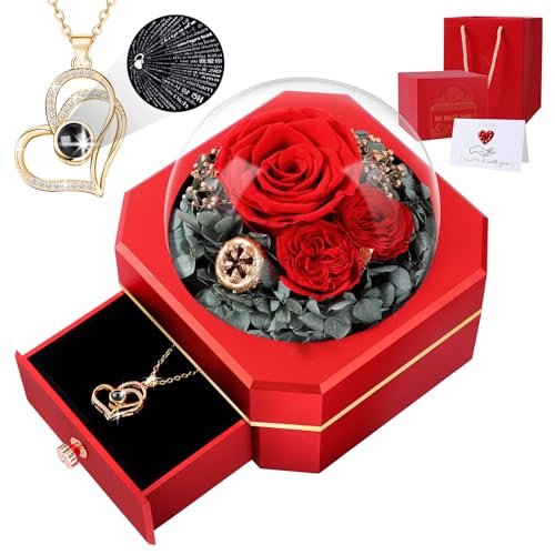 Muttertagsgeschenke für Mama Ewige Echte Rose und 100 Sprachen mit Herz Halskette , Infinity Rosen, Rosenbox ,Geburtstag, Valentinstag, Hochzeitstag Geschenke für Sie Freundin Frauen,Ehefrau (ROT)
