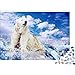 Mini puzzle per adulti 1000 pezzi Jigsaw Puzzle orso polare - animale gioco educativo antistress difficile sfida puzzle per bambini38x26cm