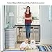 KATELUO Puerta Mágica para Perros, Magic Gate Dog, Puerta Mágica para Perros,...