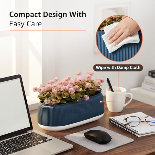 Image of amazon basics Pink Flowers with Blue and White Plastic Pot | Realistic 20 cm Greenery | Durable Plastic | Stylish & Compact | Zero Maintenance | Indoor, Outdoor, Home & Office Decor