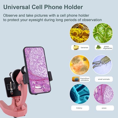 Image of Microscope for Kids & Adults,40X-2000X Magnification Microscope for Kids 8-12, with LED Fill Light & Phone Holder, Great for School Labs and Home Schooling