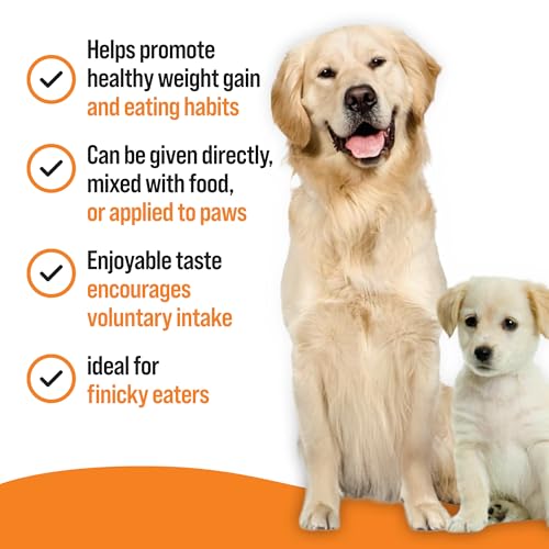 VETIQ Nutri-Vit Plus Vitamin Supplement Paste For Dogs & Puppies, Helps to Provide Extra Energy & Nutrition For Poor Eaters And Support When Off Their Food, 100 g (Pack of 1) - Image 5