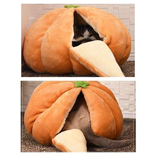 Niche chat cocooning pour petit chien style igloo en velours