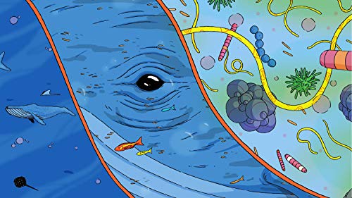 Holobionts as evolving units