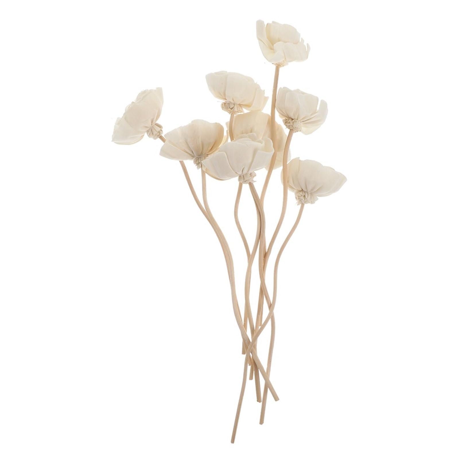 XUCZHAI Fireless Aroma Dried Flower Cane Essential Oil Diffuser Aromatherapy Sticks Stick Rattan Reed