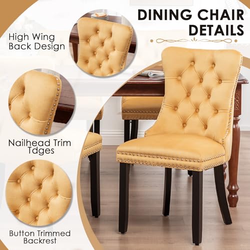 Image of Velvet Dining Chairs, Tufted Kitchen & Dining Room Chairs, Gold, Set of 6